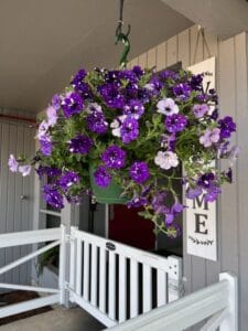 Avalon Care Center – Scappoose