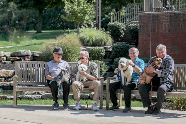 Four residents sitting with dogs in a garden area