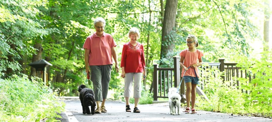 Residents walking on a path surrounded by greenery