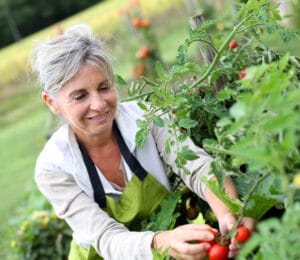 Spiritrust Lutheran the Village at Utz Terrace