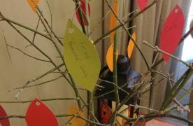 Homewood Living Plum Creek, Inc.