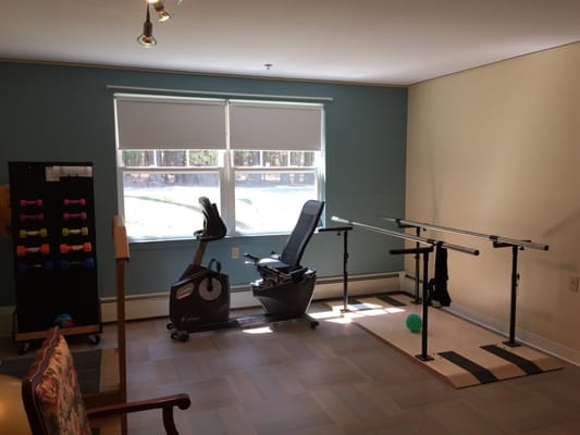 Therapy room with exercise equipment and weights