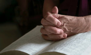 Cedar Haven Operations Holdings LLC DBA Valley View Health & Rehabilitation LLC