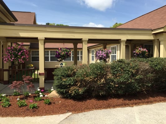 Entrance with colorful flower pots and greenery