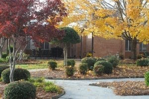 NHC HEALTHCARE CLINTON