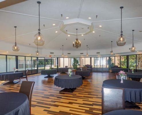 Bright dining room with tables and plants