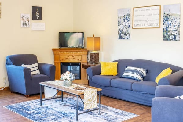 Cozy interior living area with comfortable sofas