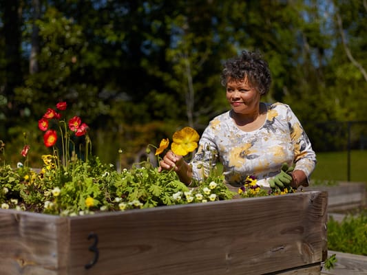 A woman tending to flowers in a community garden