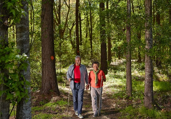 Two seniors walking in a lush forested area
