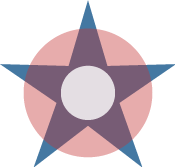 PALMETTO PATRIOTS HOME