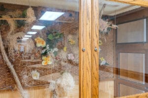 SUMTER EAST HEALTH AND REHABILITATION CENTER