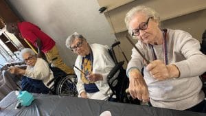 Collierville Nursing and Rehabilitation LLC