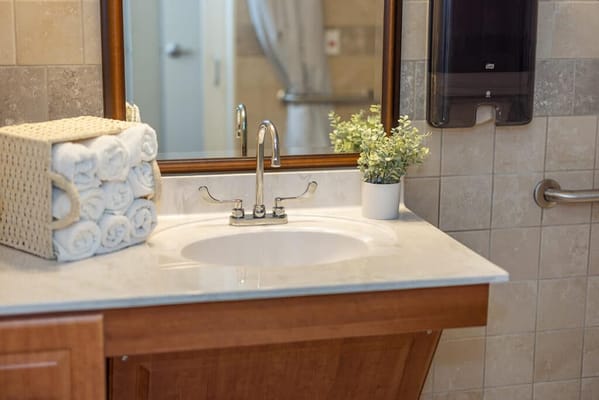 Bathroom sink area with towels and plant decoration