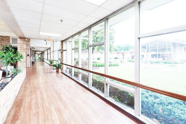 Bright, spacious corridor with large windows and greenery