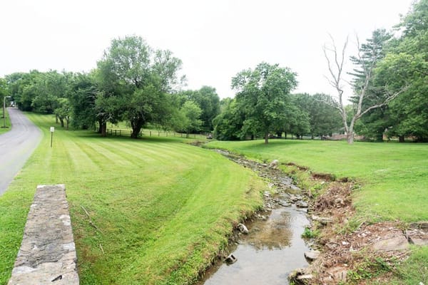 Green outdoor space with a stream and trees