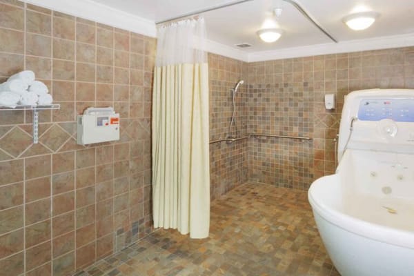 Mt. Olympus Rehabilitation Center