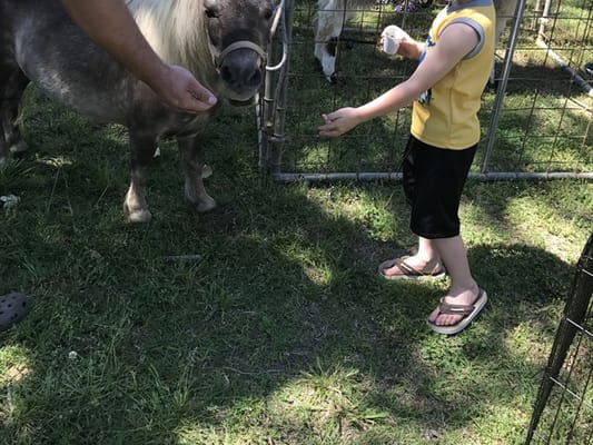 Huntingdon Health and Rehabilitation Center