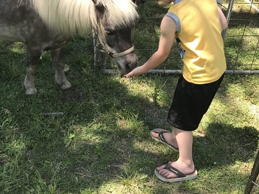 Huntingdon Health and Rehabilitation Center