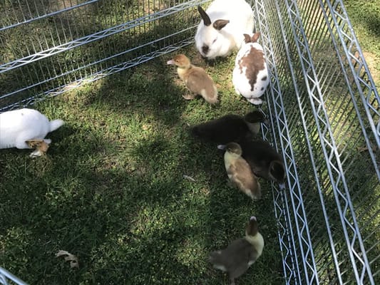 Huntingdon Health and Rehabilitation Center