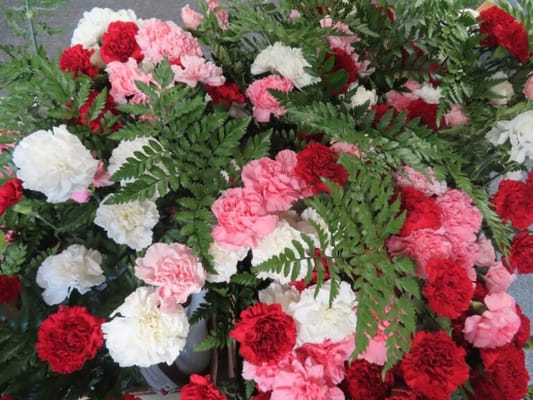 SHADY LANE NURSING CARE CENTER