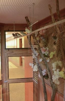 SPRING VALLEY HEALTH AND REHABILITATION CENTER