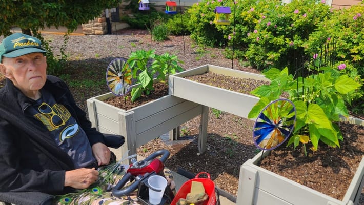 Senior resident gardening in outdoor raised beds