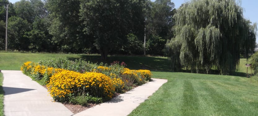 Colorful flowers along a paved walkway in a garden
