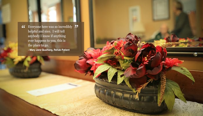 Close-up of flowers in a common area