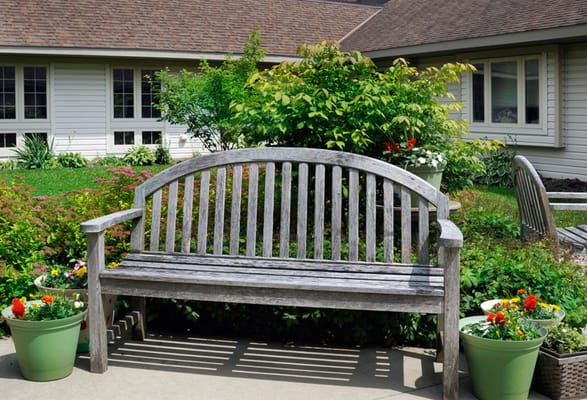 Wooden bench surrounded by vibrant garden flowers