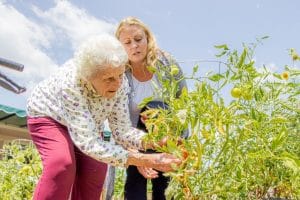 OAKRIDGE GARDENS NURSING CENTER, INC