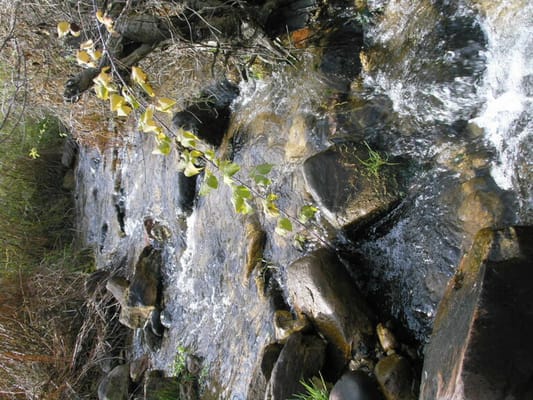 SAUK COUNTY HEALTH CARE CENTER