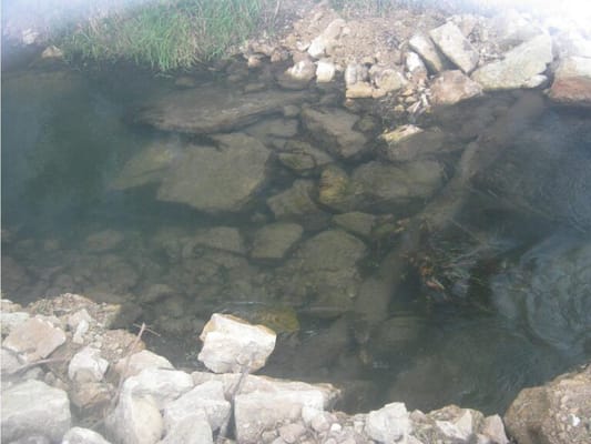 SAUK COUNTY HEALTH CARE CENTER