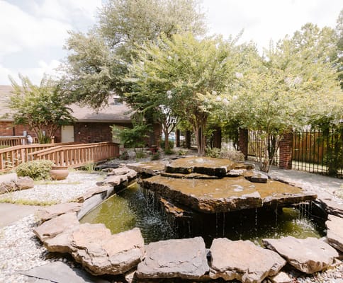 Serene outdoor area with a pond and greenery