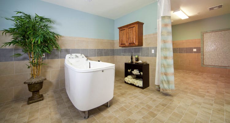 Accessibility-focused bathroom with modern fixtures