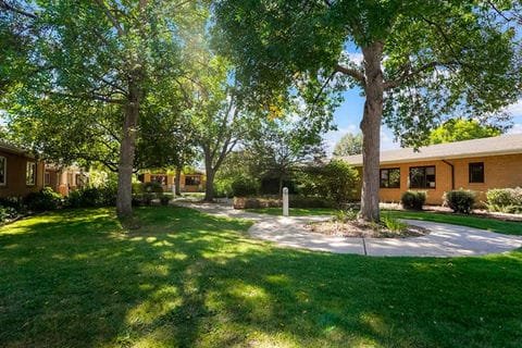 Scenic outdoor area with trees and pathways