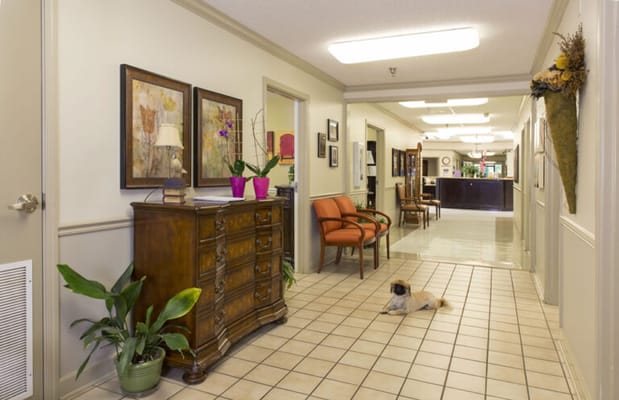 Interior hallway with furniture and artwork