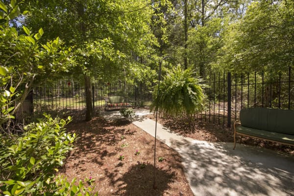 Pathway through a serene garden space