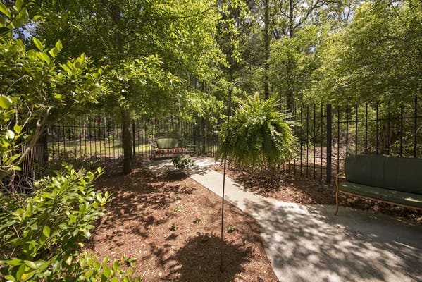 Pathway through a serene garden space