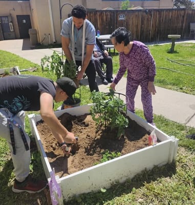 Residents and staff gardening in an outdoor space