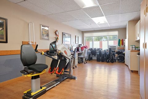Therapy area with exercise equipment in a light-filled room