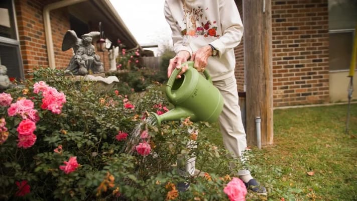 Resident watering flowers in a garden area