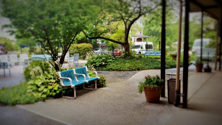 Outdoor seating area surrounded by greenery
