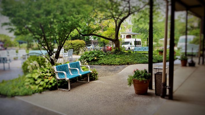 Outdoor seating area surrounded by greenery