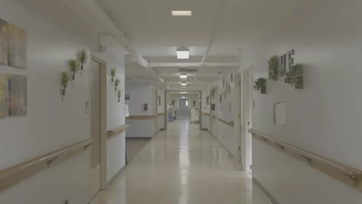 Bright hallway with plants and artwork on the walls