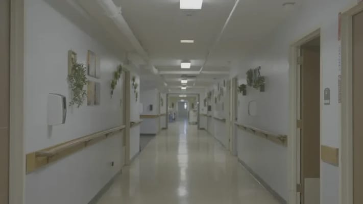 Bright, well-lit hallway with decorations and plants