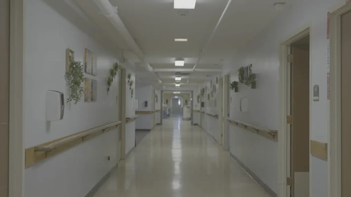 Bright, well-lit hallway with decorations and plants
