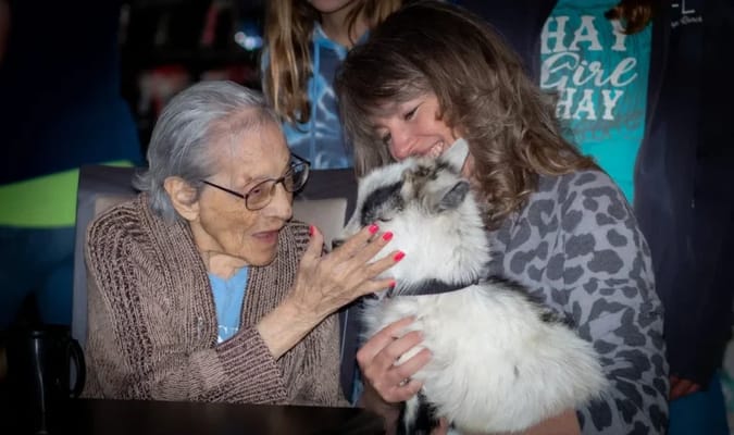 Resident interacting with a therapy animal.