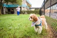 St Mark Village, Inc.