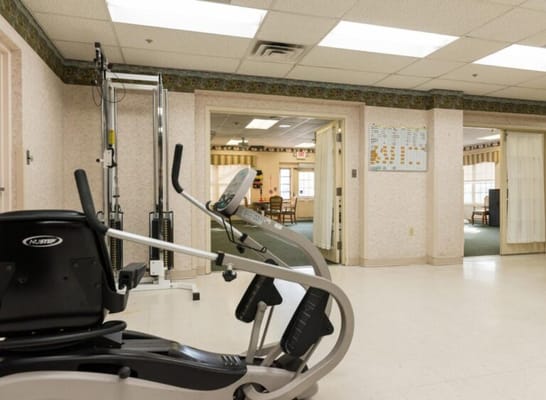 Fitness equipment in a bright activity area