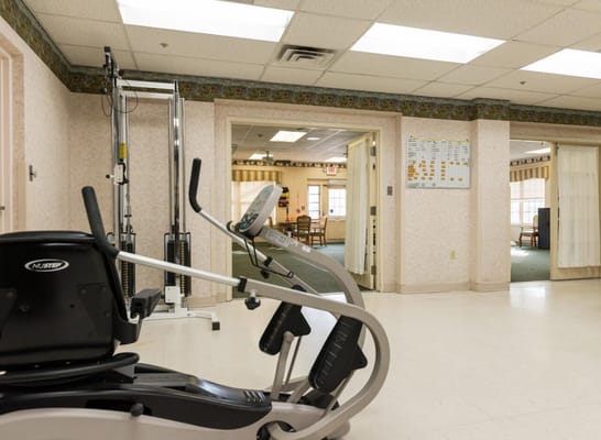 Fitness equipment in a bright activity area